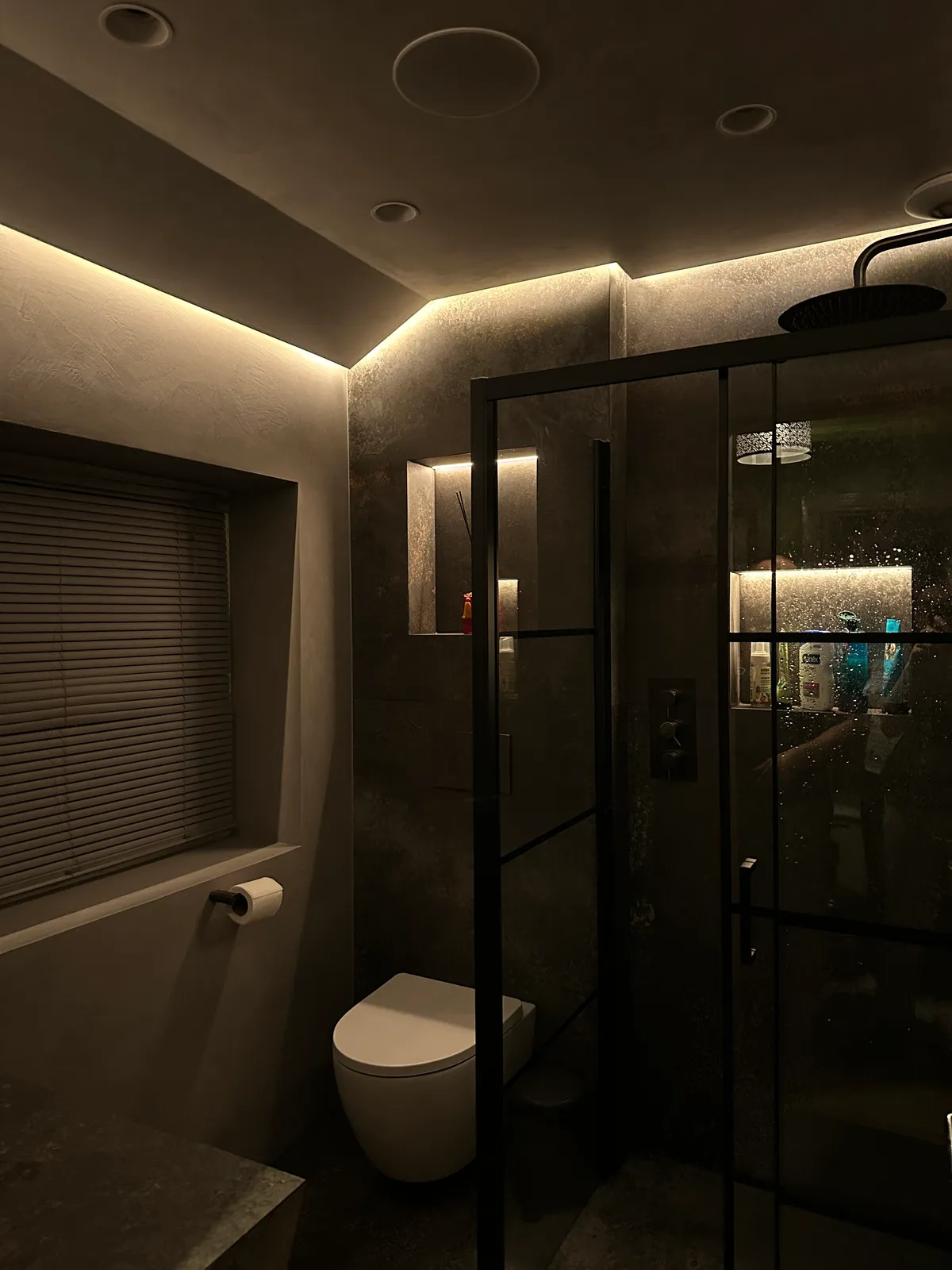 Dark lit bathroom installation